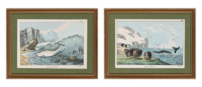 Lot 295 - Artist Unknown ARCTIC REGIONS Two hand-colored...