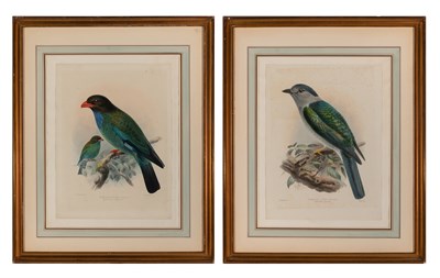 Lot 298 - John Gerrard Keulemans (1842-1912) [BIRD...