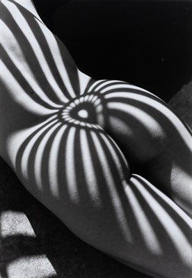 Lot 168 - CLERGUE, LUCIEN (1934-2014) Nu zèbre de Sta...