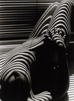 Lot 169 - CLERGUE, LUCIEN (1934-2014) Nu zèbre, NYC,...