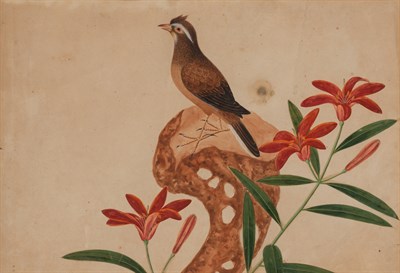 Lot 310 - Anglo-Indian School Bird with Flowers...