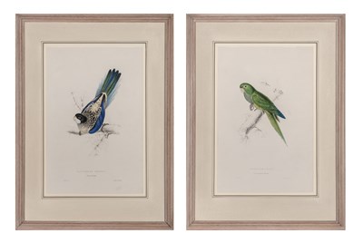 Lot 119 - Edward Lear (1812-1888) BROWN'S PARRAKEET;...