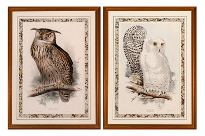 Lot 120 - Edward Lear (1812-1888) EAGLE OWL; SNOWY OWL...