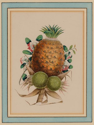 Lot 59 - Chinese School circa 1875 Pineapple and...