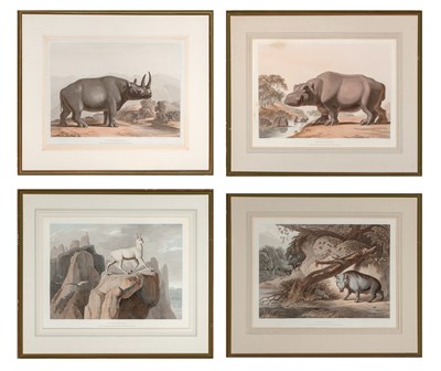 Lot 122 - Samuel Daniell (1775-1811) THE HIPPOPOTAMUS;...