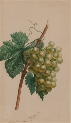 Lot 68 - Attributed to Michel van Huysum A Bunch of...