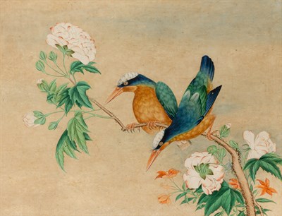 Lot 57 - Chinese School 19th Century Kingfishers on a...