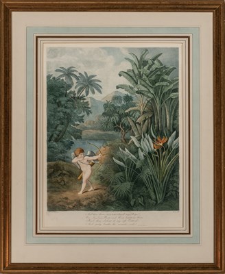 Lot 117 - Dr. Robert Thornton (1768-1837) after Philipp...