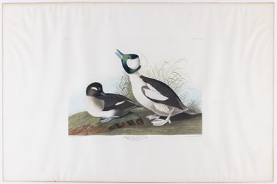 Lot 34 - After John James Audubon (1785-1851)...