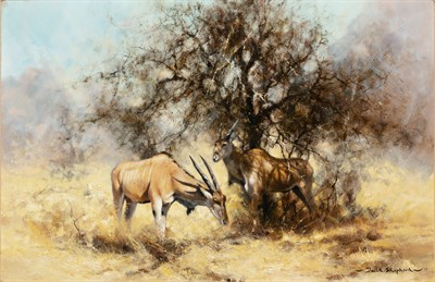 Lot 1055 - David Shepherd British, 1931-2017 Eland, 1967...