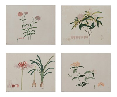 Lot 55A - Chinese School, 19th Century Four Botanical...