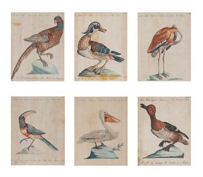 Lot 183 - Artist Unknown [BIRD STUDIES] Six hand-colored...