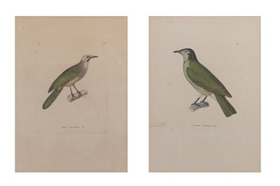 Lot 110 - Pretre [BIRD STUDIES] Two hand-colored...