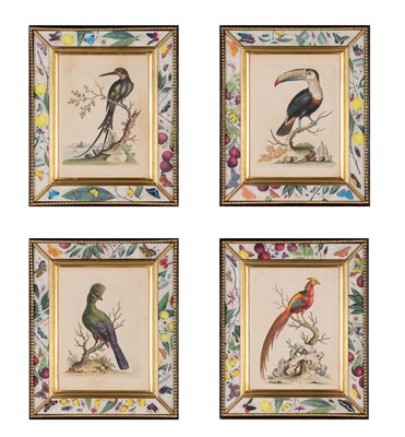 Lot 147 - George Edwards (1694-1773) [BIRD STUDIES] Four...