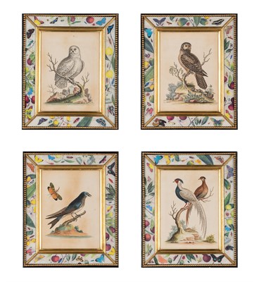 Lot 153 - George Edwards (1694-1773) [BIRD STUDIES] Four...