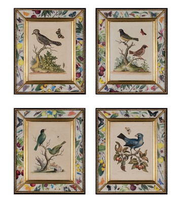 Lot 209 - George Edwards (1694-1773) [BIRD STUDIES] Four...
