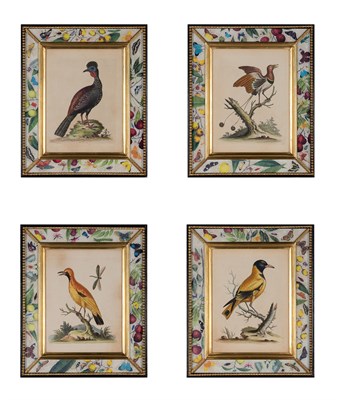 Lot 220 - George Edwards (1694-1773) [BIRD STUDIES] Four...