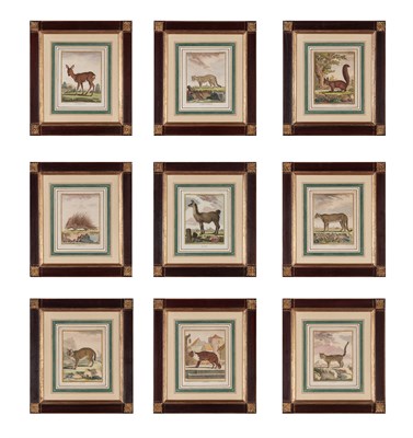 Lot 286 - Jacques de Sève (fl. 1742-1788) [QUADRUPED...