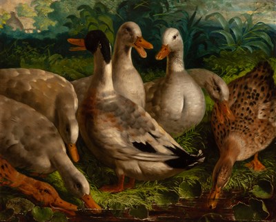Lot 100 - John Levack English, active 1851-1857 Ducks by...