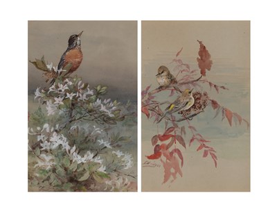 Lot 48 - Fidelia Bridges American, 1834-1923 (i) Robin...