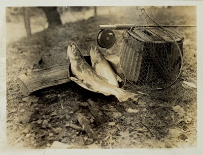 Lot 451 - [ADDITIONAL LOT] [MISSOURI]. Album of...
