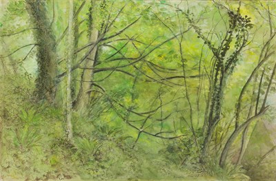 Lot 62 - Reynolds Stone British, 1909-1979 Lush Forest,...