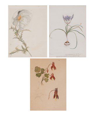 Lot 28 - Vincent Colyer American, 1825-1888 (i) Camas,...