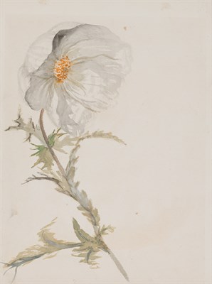 Lot 10 - Vincent Colyer