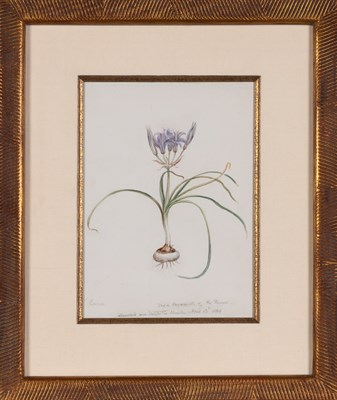 Lot 10 - Vincent Colyer