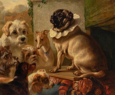 Lot 1001 - Collection: From a Private Monarch Beach,...