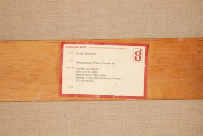 Lot 49 - Paul Jenkins