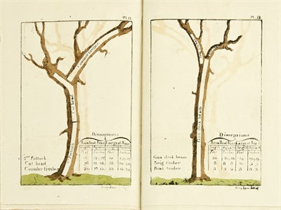 Lot 1019 - [AMERICANA-COLOR PLATE] GUILLET, PETER. Timber...
