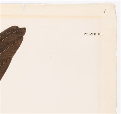 Lot 32 - After John James Audubon (1785-1851) FISH HAWK...