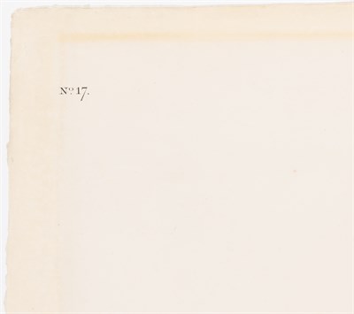 Lot 32 - After John James Audubon (1785-1851) FISH HAWK...
