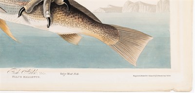 Lot 32 - After John James Audubon (1785-1851) FISH HAWK...