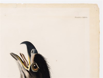 Lot 33 - After John James Audubon (1785-1851)...