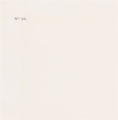 Lot 33 - After John James Audubon (1785-1851)...