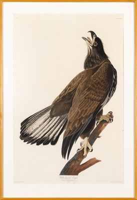 Lot 33 - After John James Audubon (1785-1851)...