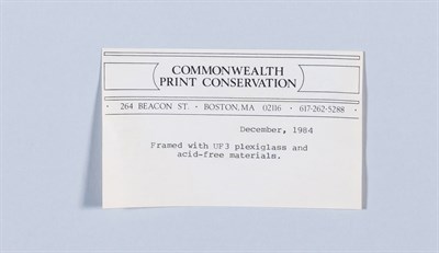Lot 33 - After John James Audubon (1785-1851)...