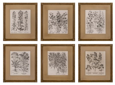 Lot 116 - Basilius Besler (1561-1629) [PLANT STUDIES]...