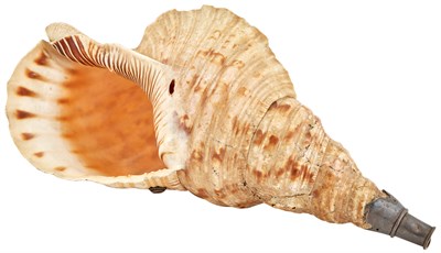 Lot 1213 - A Japanese Conch Shell Horn, Horugai Edo...