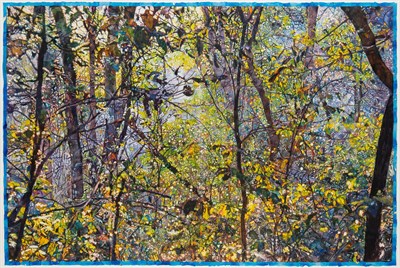 Lot 77 - Joseph Raffael American, b. 1933 Passageway,...