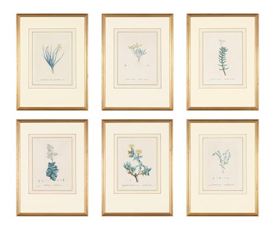 Lot 106 - After Pierre-Joseph Redouté (1759-1840) et al...