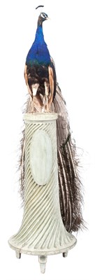 Lot 193 - Taxidermy Peacock on a Painted Wood Pedestal...