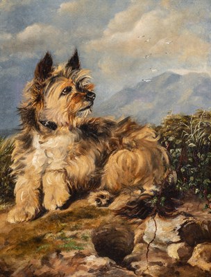 Lot 12 - British School 19th Century Terrier on a Rocky...