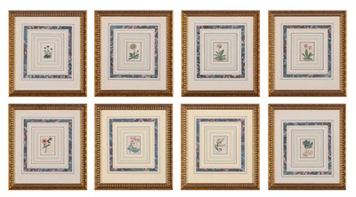 Lot 106 - Artist Unknown [FLOWER STUDIES] Eight...