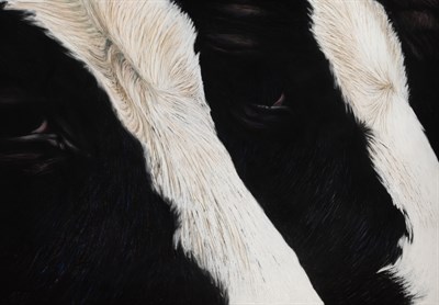 Lot 100 - 20th Century School Untitled (Two Cows) Signed...