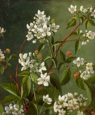 Lot 1033 - Julia McEntee Dillon American, 1834-1919...