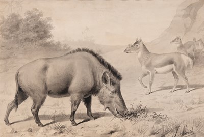 Lot 85 - Joseph Smit Dutch, 1836-1929 Elotherium and...