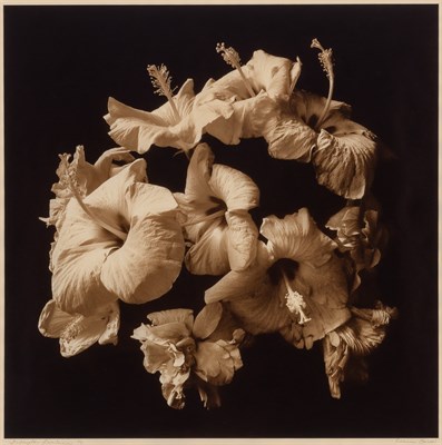 Lot 24 - BARROW, REENIE (b. 1944) Two photographs....